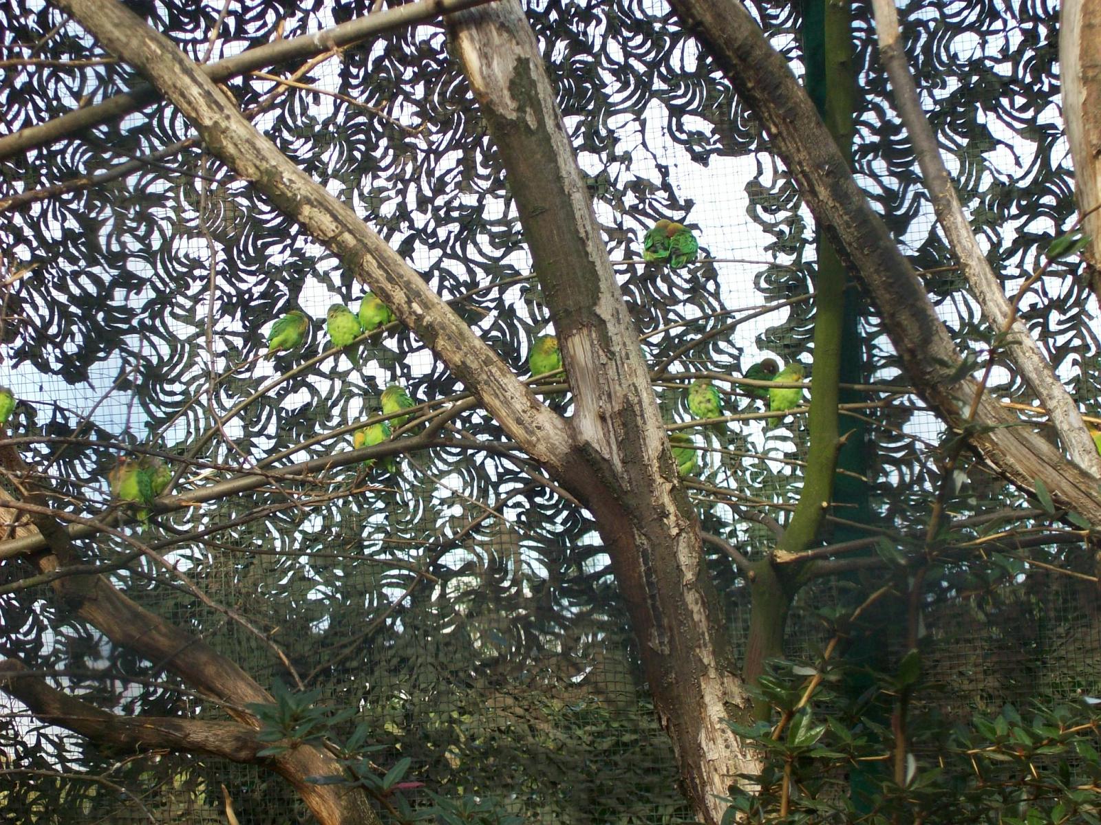 Zoom 18.10.2008-095.jpg
